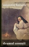 Drumul cenusii | Augustin Buzura, Rao