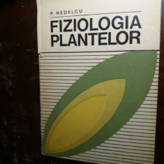 fiziologia plantelor nedelcu