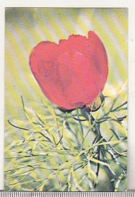 bnk cld Calendar de buzunar - 1989 - lalea foto