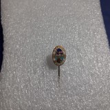 insigna Carpati Brasov