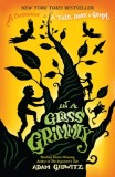 In a Glass Grimmly: A Companion to a Tale Dark &amp; Grimm