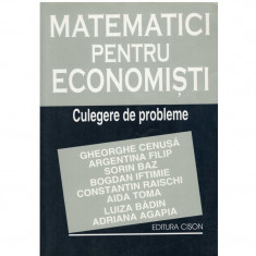 Matematici pentru economisti - culegere de probleme foto