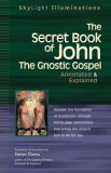 The Secret Book of John: The Gnostic Gospels Annotated &amp; Explained