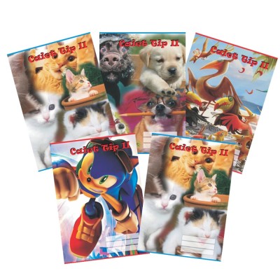Set Caiet TIP 2, coperta policromie, 5buc foto