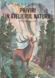 Ionel Pop - Priviri in atelierul naturii