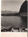 CPIB 15648 CARTE POSTALA - MUNTII FAGARASULUI. LACUL CALTUN, RPR, Necirculata, Fotografie