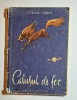 Căluțul de foc &ndash; Aut. Viorica Huber, Ilustr. I. Mitrici, Ed. Tineretului, 1957