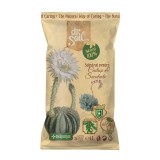 Pamant pentru cactusi si plante suculente / substrat, Dr. Soil, 1 l, scoarta pin