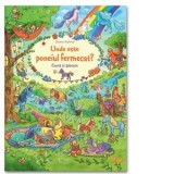 Unde este poneiul fermecat. Cauta si gaseste - Diana Kohne