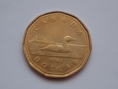 DOLLAR 1988 CANADA foto