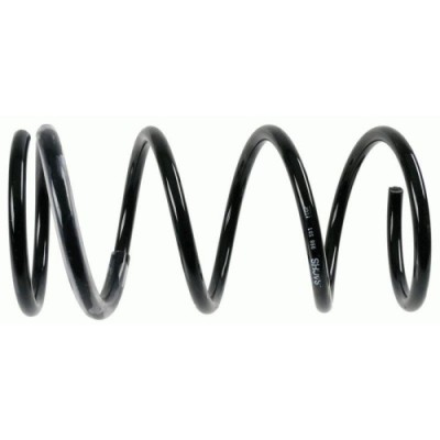 Sachs Arc spiral foto