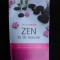 Zen in 10 minute - Sioux Berger