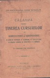 C9252N Călăuză pentru ținerea cursurilor de agricultură și gospodărie &icirc;n școalele ... de Maximilian Popovici, 1915