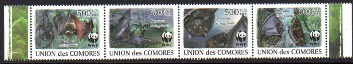 Ins. COMORE 2009, Fauna - WWF, MNH