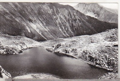 bnk cp Muntii Fagaras - Iezerul Podul Giurgiului - circulata foto