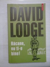 RACANE, NU TI-E BINE! - DAVID LODGE foto