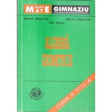 ALGEBRA GEOMETRIE - CLASA A VIII-A, PARTEA 3-ANTON NEGRILA, MARIA NEGRILA, ION ROSU-332705