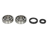Cumpara ieftin Lagare cu arbore cotit set cu garnituri pentru SUZUKI RM 80/85 1989-2016