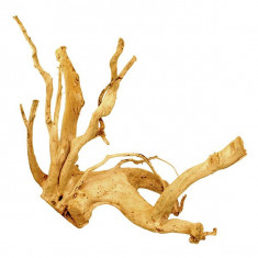 Cuckoo Root radacina pentru acvariu - 55 x 40 x 40 cm foto