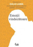 Emotii vindecatoare | Daniel Goleman, Curtea Veche, Curtea Veche Publishing