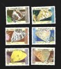 Somali insecte mnh, Nestampilat