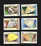 somali insecte mnh