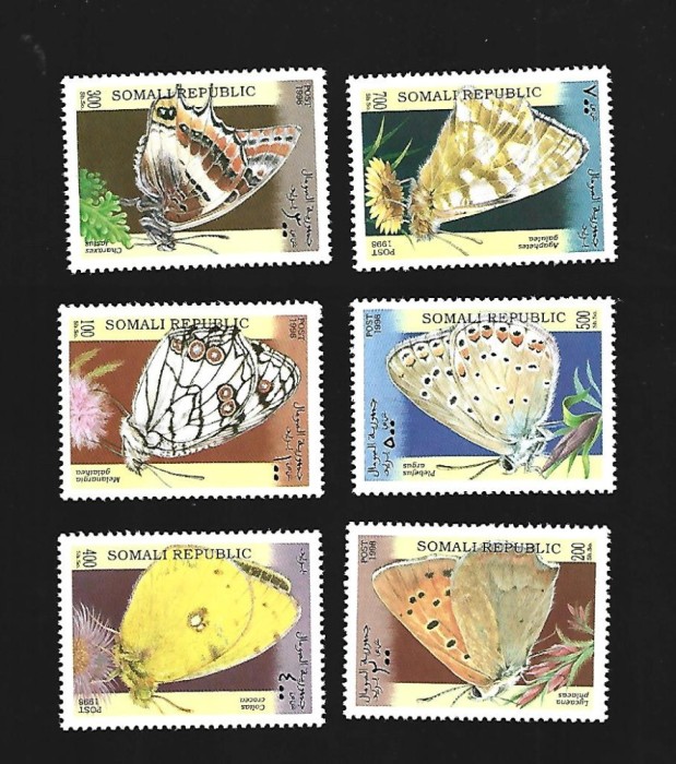 somali insecte mnh