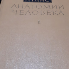 SINELNIKOV ATLAS DE ANATOMIE UMANA VOL.2 ORGANE INTERNE(LIMBA RUSA)