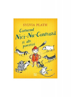 Costumul nici-nu-contează și alte povestiri - Paperback brosat - Sylvia Plath - Pandora M foto