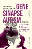 Cumpara ieftin Gene, Sinapse, Autism., Thomas Bourgeron - Editura Humanitas
