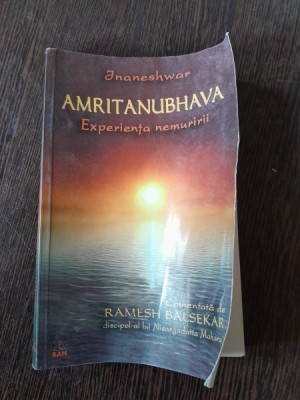 Amritanubhava, experienta nemuririi - Inaneshwar foto