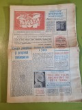 Magazin 3 decembrie 1977