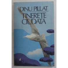 TINERETE CIUDATA de DINU PILLAT , 1984