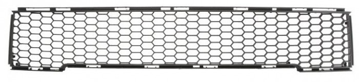 Grila Radiator Bara Fata Blic 6502-07-2013910Q