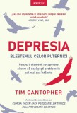 Cumpara ieftin Depresia. Blestemul celor puternici