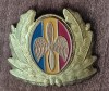 QW14 - Emblema militara / cuc - aviatie - anii 1990 - piesa de colectie