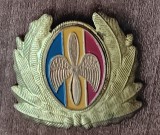 QW14 - Emblema militara / cuc - aviatie - anii 1990 - piesa de colectie