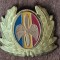 QW14 - Emblema militara / cuc - aviatie - anii 1990 - piesa de colectie