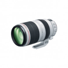 Obiectiv Canon EF 100-400mm f/4.5-5.6 L IS II USM foto