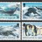 Teritoriul Antarctic Britanic 1992 Mi 193/96 MNH - WWF: foci si pinguini