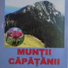 Gheorghe Ploaie - Muntii Capatanii. Ghid Turistic