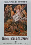 Cumpara ieftin Studiul Noului Testament - 2002 - Ioan Constantinescu (AY163)