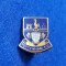 Insigna fotbal - TOTTENHAM HOTSPUR FC (Anglia)