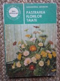 Alexandrina Amariutei - Pastrarea florilor taiate