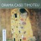 DRAMA CASEI TIMOTEU-MIRCEA STEINUL-236284