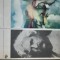 Jurnalul lui Adam si al Evei Mark Twain 1983