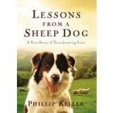 Lessons from a Sheep Dog