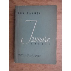 Ion Banuta - Izvoare poezii
