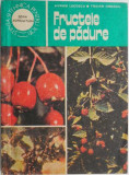 Fructele de padure &ndash; Avram Lucescu, Traian Ionescu