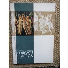 EDUCATIE PLASTICA CLASA VII A IONESCU , LAZAR EDITURA NEMIRA ,STARE FOARTE BUNA